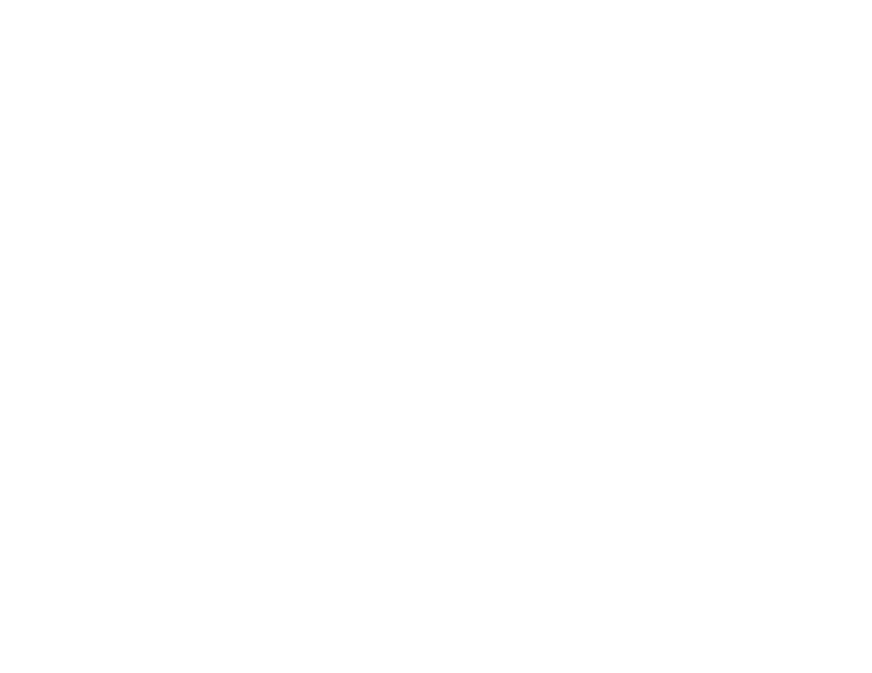 Logo Ficma Fest