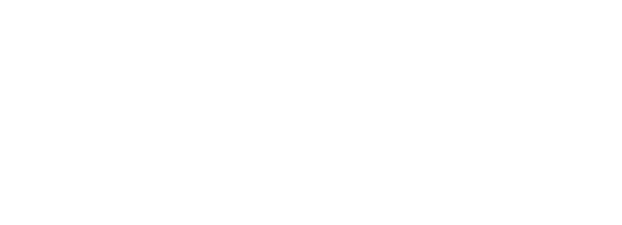 Logo RUTA N